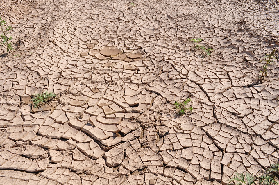 Weiter Extreme Trockenheit In Kapstadt Wetterkanal Kachelmannwetter