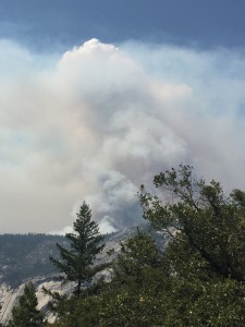 Waldbrand im Yosemite National Park … und zufällig vor Ort
