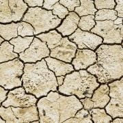 Trockenheit und Niedrigwasser – fallen neue Rekorde?