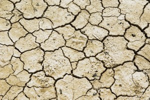 Extreme Trockenheit setzt sich fort – Rekordjahr noch möglich