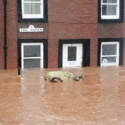 Orkantief DESMOND/TED: massive Überflutungen und Orkanböen in Großbritannien