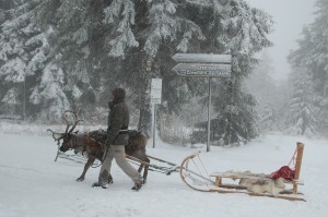 Europa-Wetter: türkisches Gewitter, verschneites Lappland, norwegisches Tauwetter