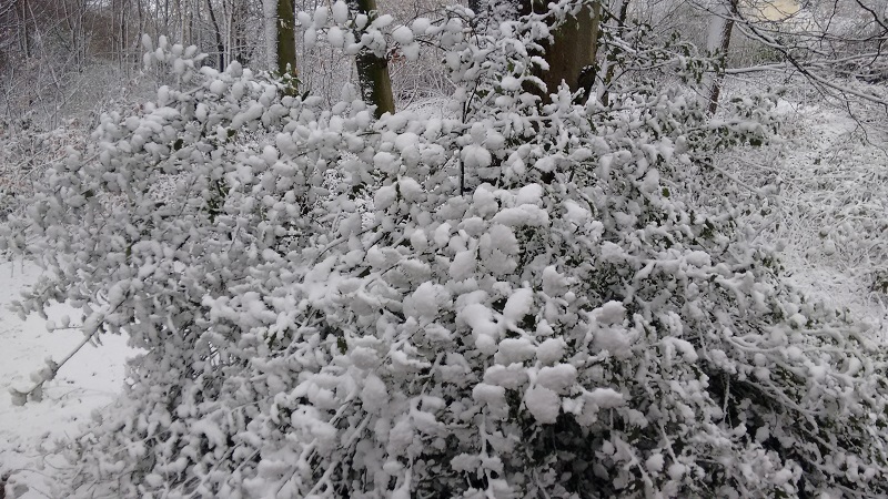 Warum ist Schnee weiß?  Wetterkanal Kachelmannwetter