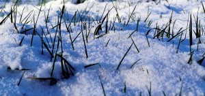 Tief „Ulrika“ am Wochenende – Sonntag Schnee in der Nordhälfte?