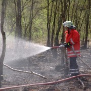 Kommende Tage: Steigende Waldbrandgefahr