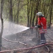 Waldbrandgefahr, Niedrigwasser und noch mehr Rekorde…
