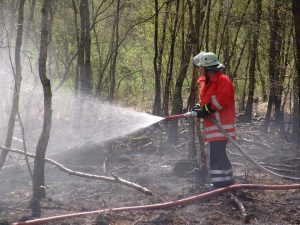 Waldbrandgefahr, Niedrigwasser und noch mehr Rekorde…