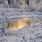 Kleine „Schneeüberraschung“ in Sachsen und Bayern