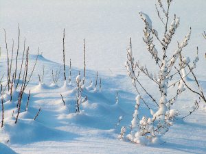 Nordskandinavien: Winter pur und strenger Dauerfrost mit oft nur -30 bis -10 Grad