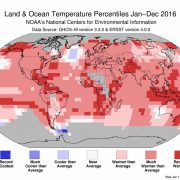 2016 mit erneutem globalen Temperaturrekord