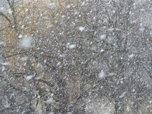 Tief AXEL bringt gebietsweise kräftigen Schneefall und örtlich Wintergewitter
