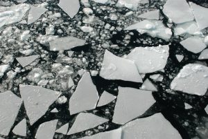 Arktiseis auf Rekordtiefstand