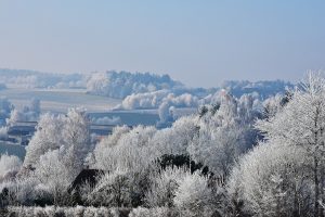 Eisige Aussichten: Dauerfrost und teils strenger Nachtfrost