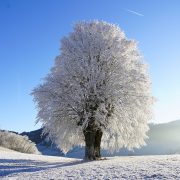 Längste Dauerfrostperioden in Deutschland