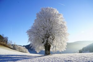 Längste Dauerfrostperioden in Deutschland