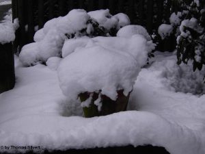 Alpen: Am Wochenende Wintereinbruch mit Schnee bis in die Täler!