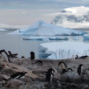 Antarktiseis erreicht Rekordminimum
