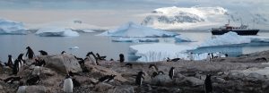 Antarktiseis erreicht Rekordminimum
