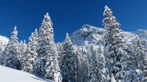Österreich: Traumhafter Sonntag mit strahlendem Sonnenschein in den Alpen und perfektem Wintersportwetter
