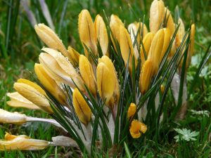 Wetterumstellung mit Regen und Wind zum Wochenende