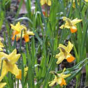 Weichen für Osterwetter gestellt