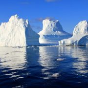 Viele Eisberge auf dem Nordatlantik