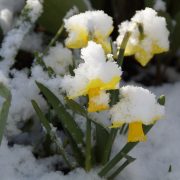 Österreich: Winter im April mit Schnee und Frost