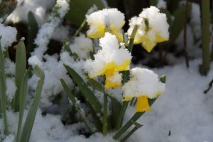 Österreich: Winter im April mit Schnee und Frost