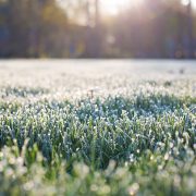 Österreich: Der April startet mit Frost und Sonne – Achtung weiterhin kann es zu Frostschäden kommen!