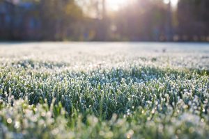 Österreich: Nach Dauerregen – Mittwochmorgen Frostgefahr!