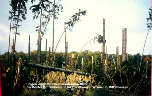 Vor 25 Jahren: Schwere Unwetter in Deutschland