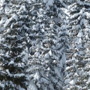 Alpen: Märzwinter schlägt ab dem Wochenende voll zu – große Schneemengen für die Berge der Alpennordseite!