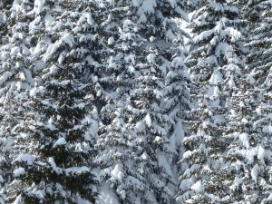 Alpen: Märzwinter schlägt ab dem Wochenende voll zu – große Schneemengen für die Berge der Alpennordseite!