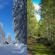 Wetterextreme im Oktober – zwischen Sommer und Winter