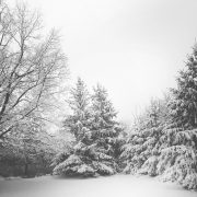 Heute vor 4 Jahren – starker Schneefall in Süddeutschland