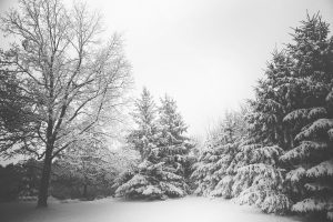 Heute vor 4 Jahren – starker Schneefall in Süddeutschland