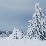 Kaltfront am Wochenende – neuer Schnee für Mittelgebirge/Alpen