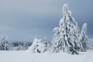 Kaltfront am Wochenende – neuer Schnee für Mittelgebirge/Alpen