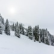 Viel Neuschnee in einigen Mittelgebirgen