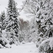 Alpen: Wintereinbruch mit teils großen Schneemengen in den Bergen!