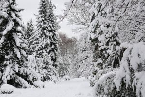 Österreich: Sturm und Schnee für die Alpennordseite!