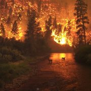 Brände in Südkalifornien breiten sich aus