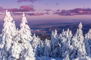 Harz: Höchste Schneedecke an einem 15.12. seit Jahrzehnten