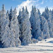 Österreich: Nachts teils strenger Frost – morgen auf den Bergen gutes Wintersportwetter