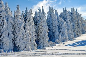 Österreich: Nachts teils strenger Frost – morgen auf den Bergen gutes Wintersportwetter