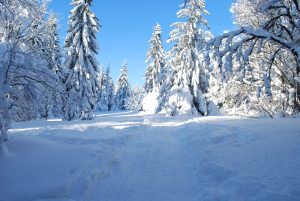 Österreich: In der Nacht bitterkalt mit teils -20 Grad – im Osten milder und leichter Schneefall!