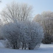 Vor 9 Jahren: Schnee und unter -20 Grad selbst in NRW