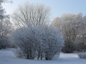 Vor 9 Jahren: Schnee und unter -20 Grad selbst in NRW