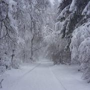 Winterlicher Karsamstag/Ostersonntag mit kräftigen Schneefällen im Norden/Nordosten!
