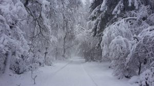 Winterlicher Karsamstag/Ostersonntag mit kräftigen Schneefällen im Norden/Nordosten!